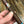 Load image into Gallery viewer, Fat Bottom Betty - Toro cigars $14.99 each