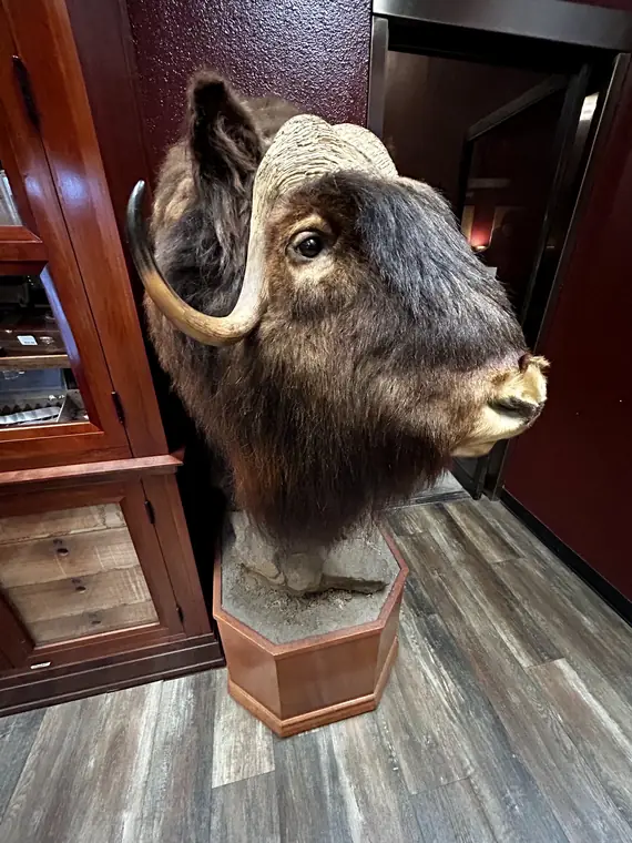 Keeping watch over the humidor