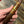 Load image into Gallery viewer, Oliva Serie V Melanio Reserva Limitada  In stock
